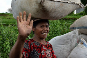 ダルメシアン – たくさんの魅力を持つ繊細なアスリート