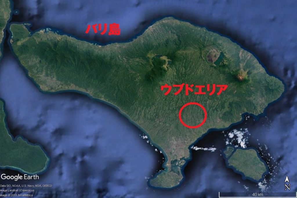 バリ島 1日観光 モデルコース ウブド編 Webon ウェボン