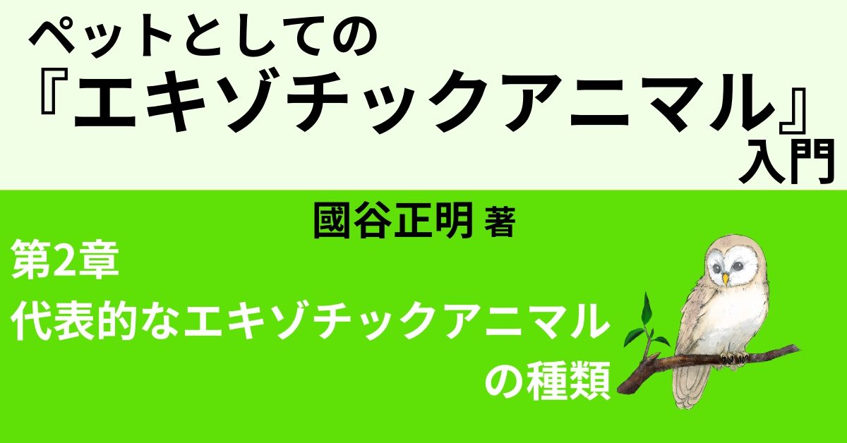 代表的な飼えるエキゾチックアニマル 爬虫類 両棲類編 Webon ウェボン