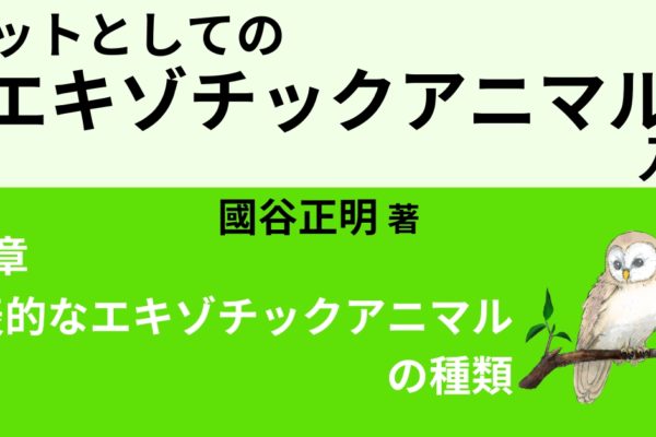 代表的な飼えるエキゾチックアニマル 　～哺乳類編～