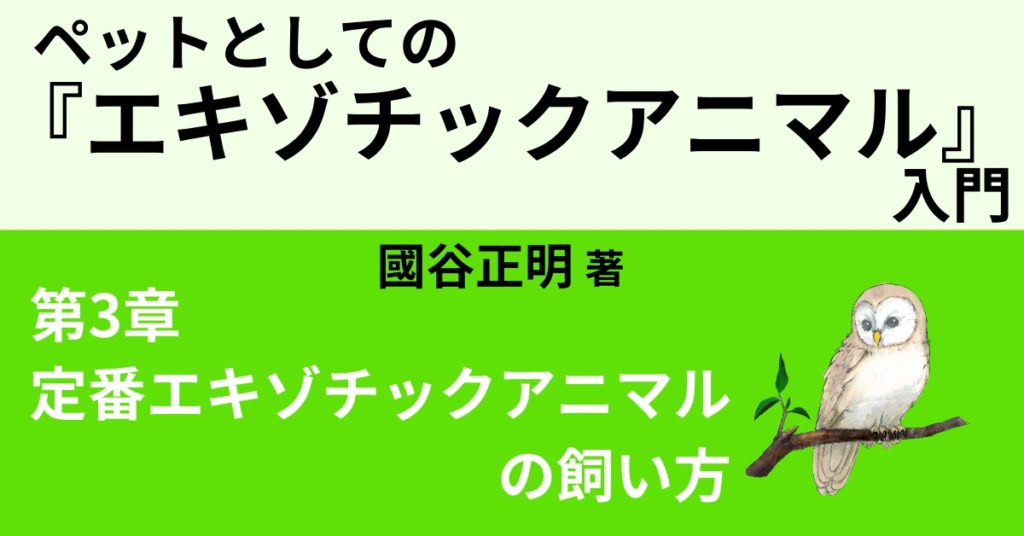 コンサルタ博士 – 手に抗うつ薬を持ち、コンピューターの前に座る黒人男性、うつ病の治療法、心理的および精神医学的な医療サポート