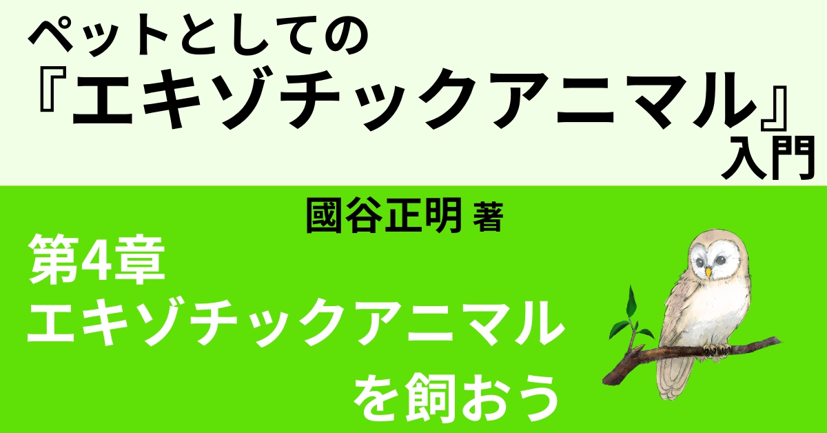 エキゾチックアニマル飼育セット エキゾチックアニマルを飼おう① ～ペットショップ編～ | Webon