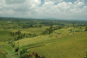 中国の気候:その正体、場所、特徴、動植物 -