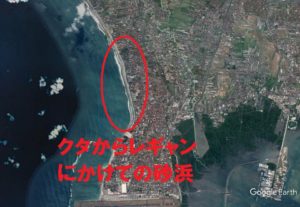 種内競争:その概要、特徴、例 - 種内競争の例