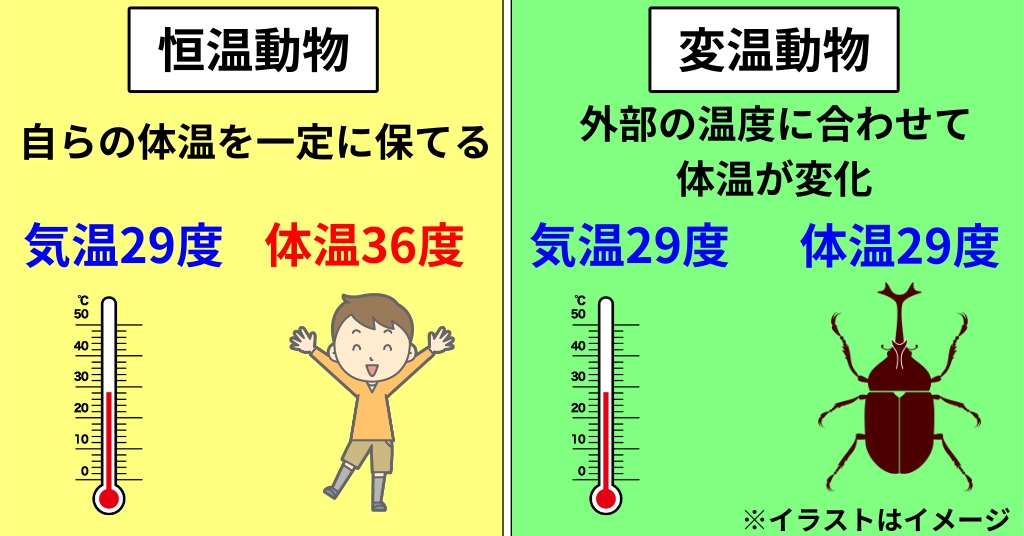 昆虫たちの 冬 の越し方 Webon ウェボン