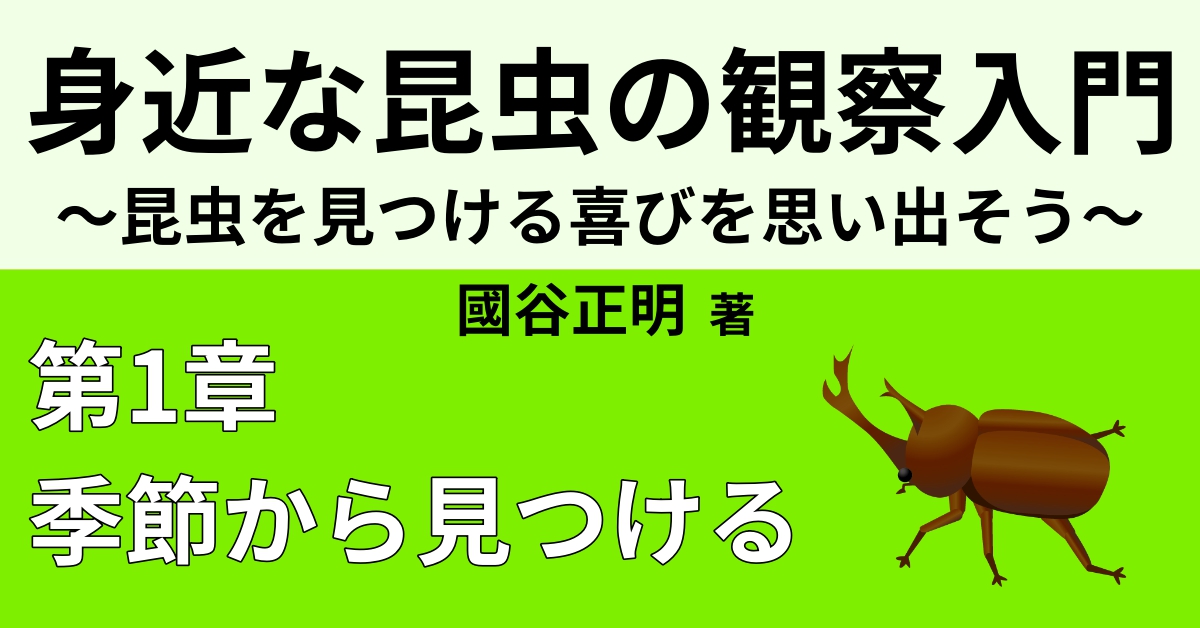 秋 の身近な昆虫 5選 Webon ウェボン