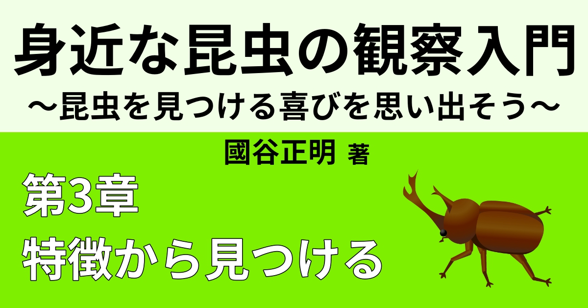 不思議な昆虫 ランキングベスト5 Webon ウェボン