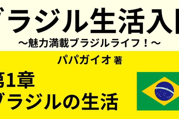 ブラジルの生活費・物価　～高い？安い？～