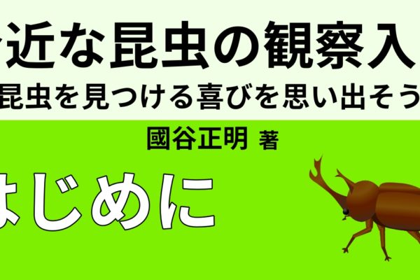 昆虫の魅力を知ると幸せが増える