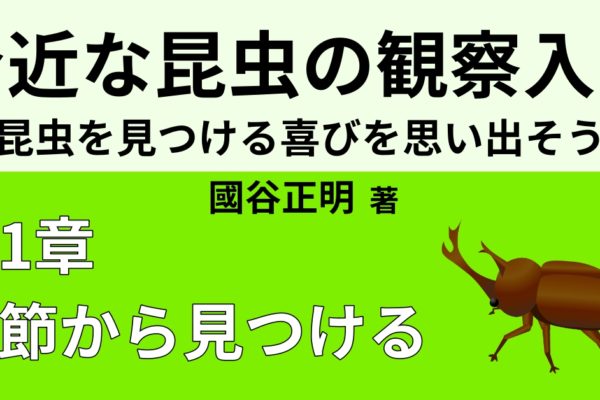 昆虫たちの【冬】の越し方