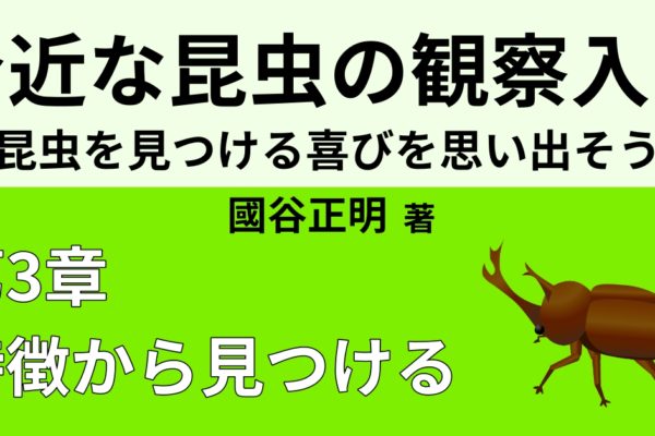 【不思議な昆虫】ランキングベスト5