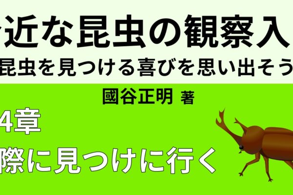 昆虫採集体験レポート④　【夜の虫採り】