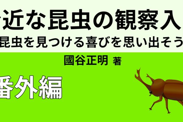 【気持ち悪い昆虫】ランキングベスト5