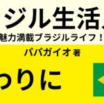 ブラジルと日本の文化の違い 在住歴17年が語る あり得ない話が面白い Webon ウェボン