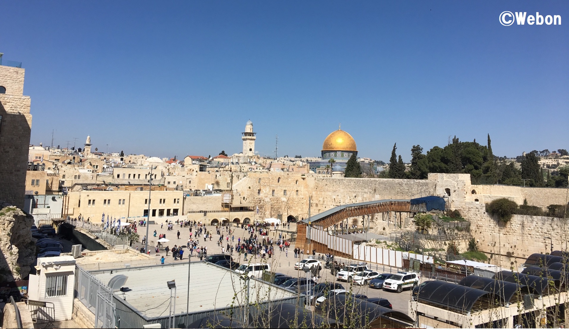 オックスフォードワクチンのボランティアの選考はブラジルでどのように行われるのか