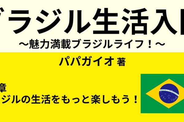 ブラジルのおすすめスポット4選　～観光でも見たい！～