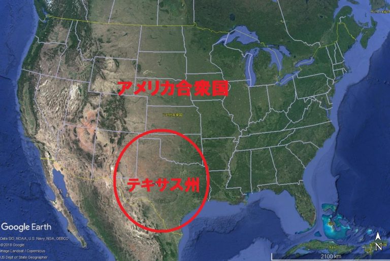 すべての中で最大の脳を持つ動物は何ですか - マッコウクジラ、世界で最大の脳を持つ動物