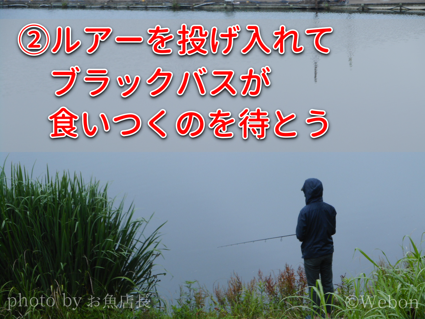バス釣りの基礎知識 初心者が最低限学ぶべきこと Webon ウェボン