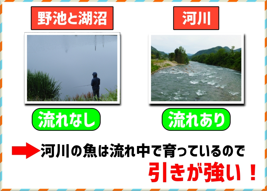 バス釣りの場所の基礎知識 河川編 Webon ウェボン