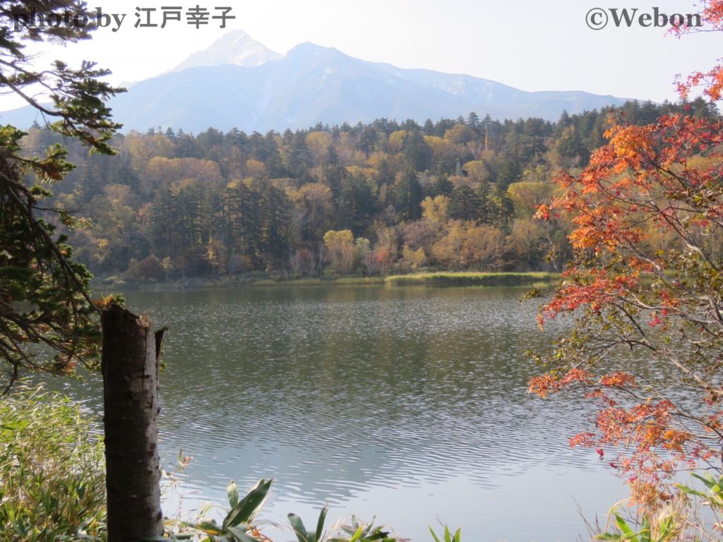 南浜湿原 Webon ウェボン