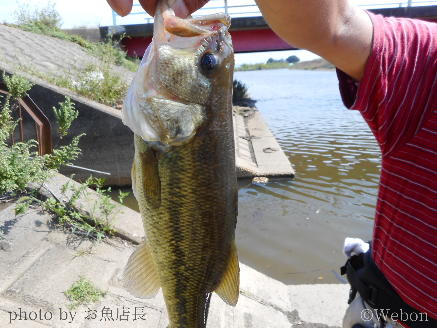 バス釣りのコツ 季節 天候 時間 Webon ウェボン