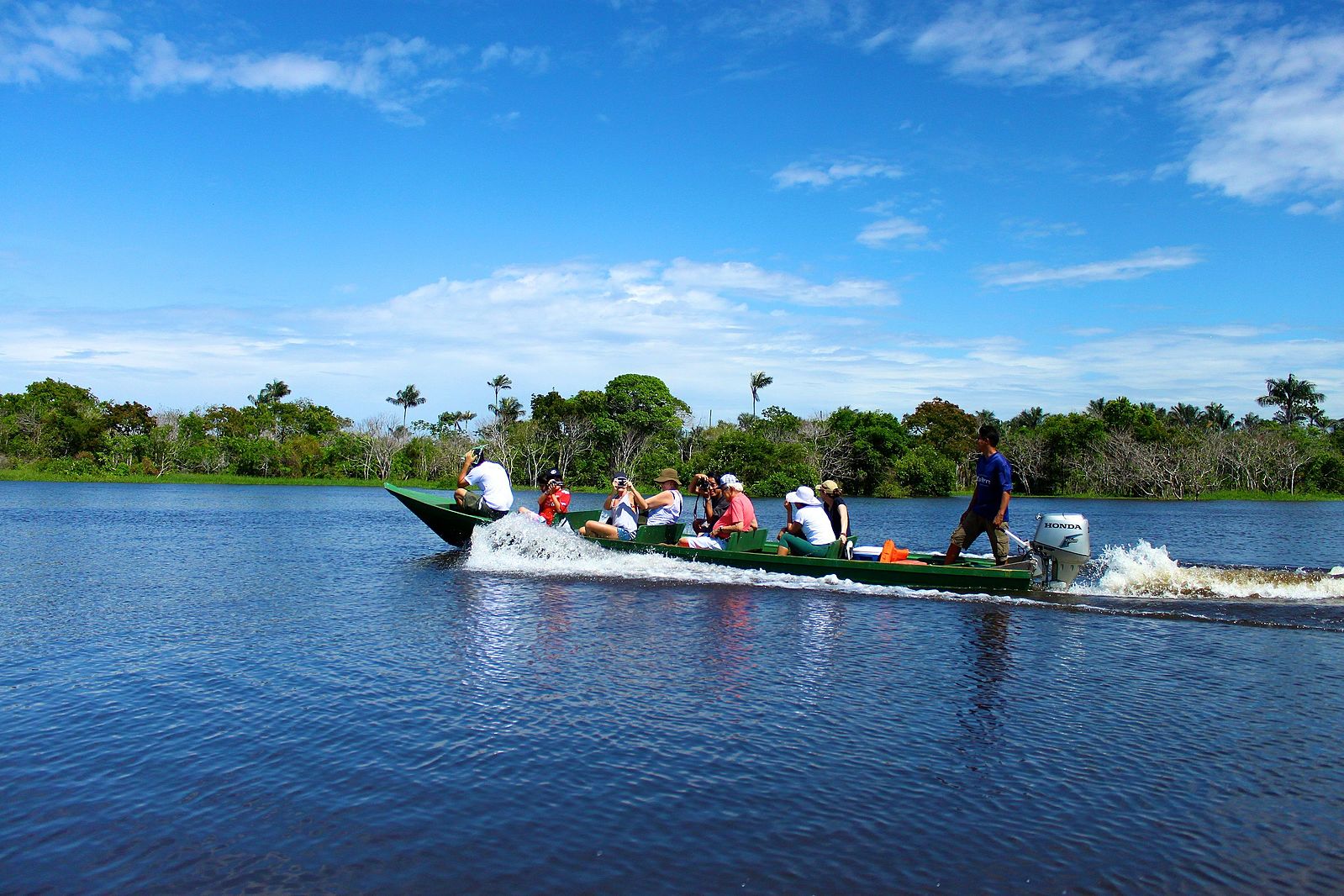 世界最大のサメ - ゴブリンシャーク (Mitsukurina owstoni)