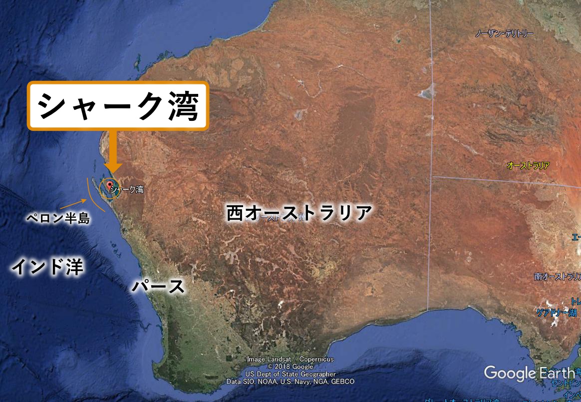 オーストラリアのアクセス不能の極地