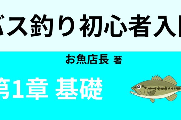 バス釣りの釣り方の基本