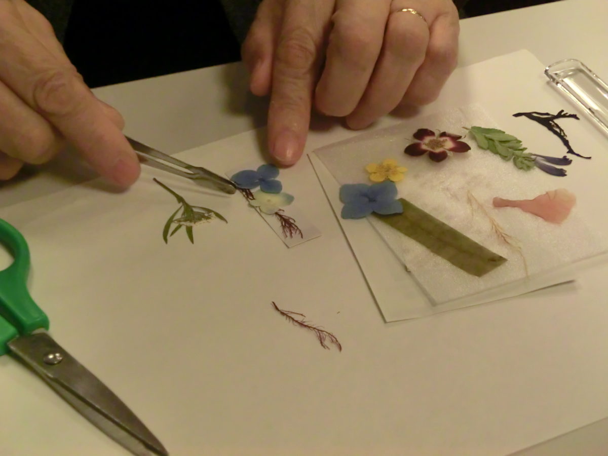 スターマン：宇宙に打ち上げられたテスラのマネキンは火星に「近い」