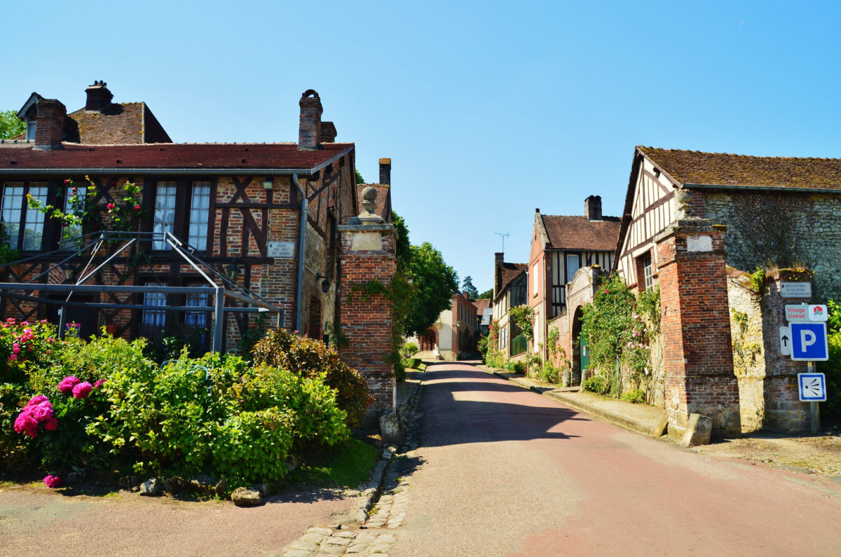 日陰植物 - ブロワリア