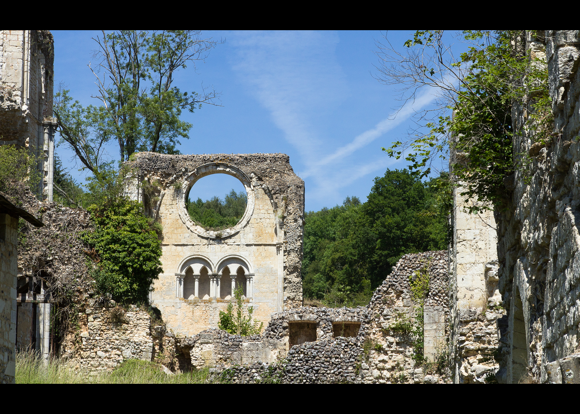 スペインで最も美しい森 - ラ・ファゲダ・デン・ジョルダ、ジローナ