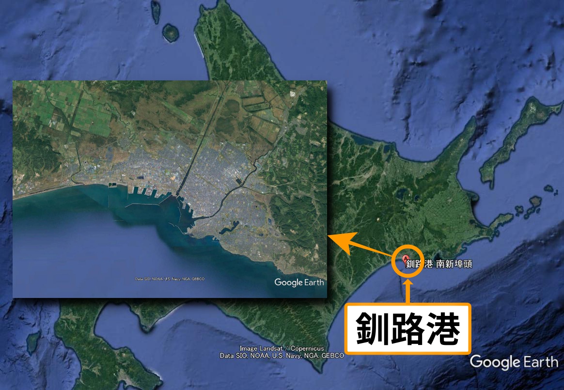 25 の背の高い観葉植物 - Nolina