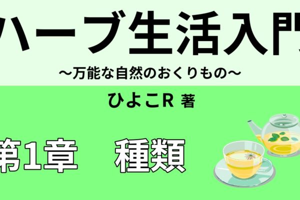 初心者おすすめハーブ12種類①【効能効果・香りと注意点】