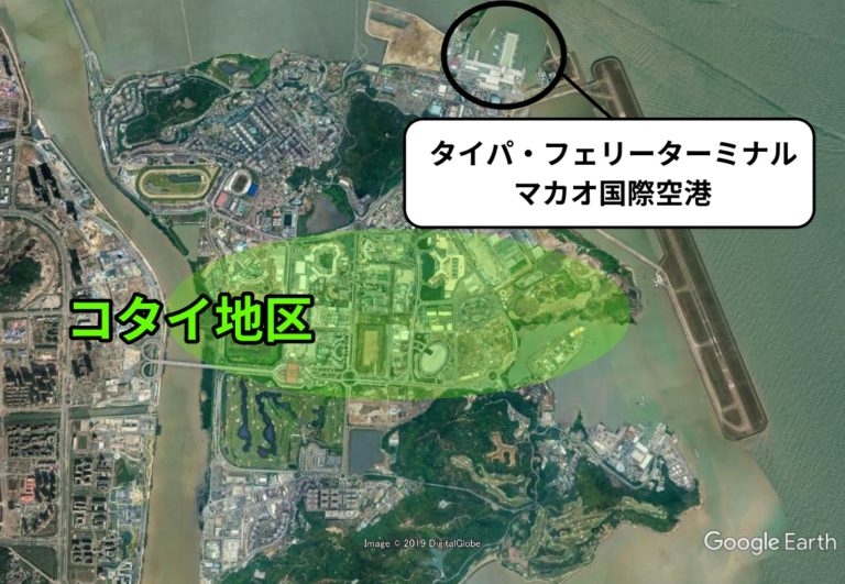 ピクサーがエキサイティングな短編で子猫とピットブルの珍しい友情を描く