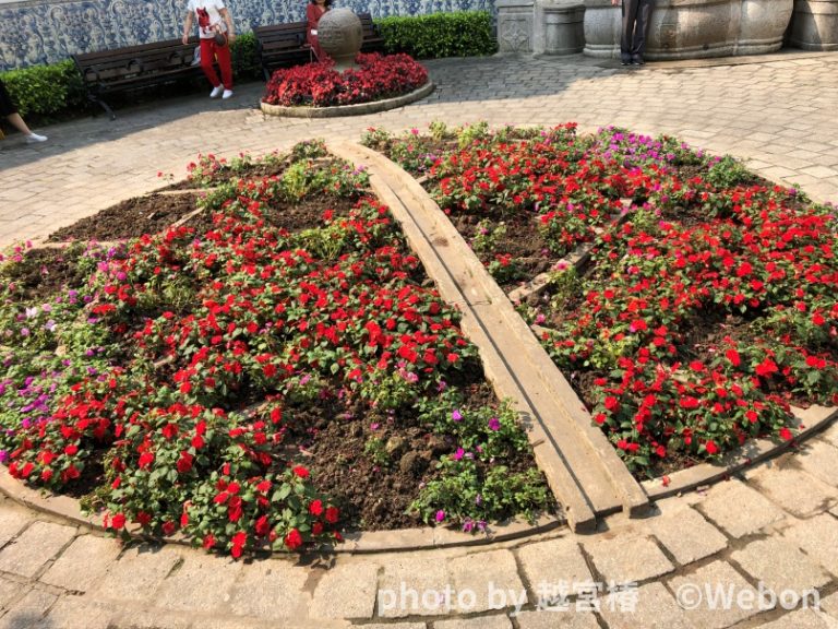 カーニバルであろうがなかろうが、コンドームは必須です